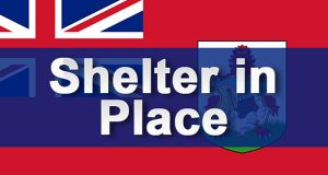 Shelter In Place Guidelines: Shopping & More