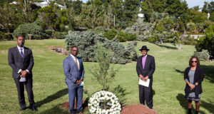 Video: Coronavirus Memorial Tree Planting
